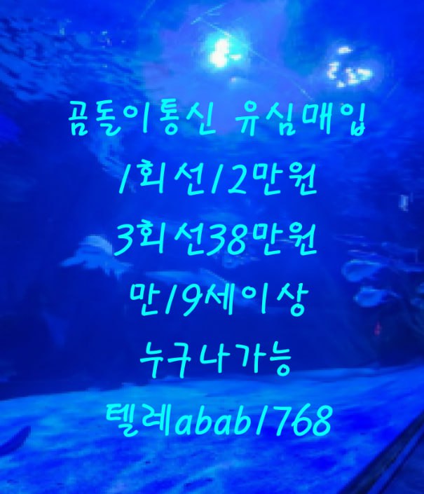 선불유심내구제 정식업체 유심내구제 전문업체 선불유심매입 유심매입 내구제매입 유심매입 선불유심내구제 전문업체 내구제 가전내구제 상조내구제 (98).jpg